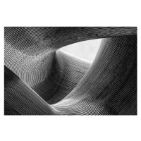 Fotografie lines, Peter Pfeiffer, 40x26.7 cm