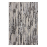 Flair Rugs koberce Kusový koberec Eris Gleam Silver - 80x150 cm