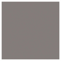 Dlažba Rako Taurus Color light grey 20x20 cm mat TAA26006.1