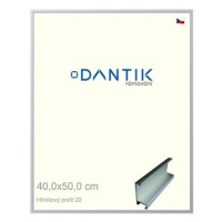 DANTIK rámeček 40 × 50, ALU profil 7022 Stříbrný matný plexi čiré