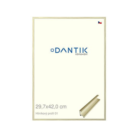 DANTIK rámeček 29,7 × 42, ALU profil 7001 zlatý lesklý alternativa plexi čiré