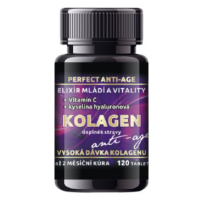 Bio-Detox Kolagen Perfect ANTI-AGE + vit. C a kys. hyaluronová - 120 tablet