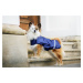 Vsepropejska Taya reflexní pláštěnka pro psa Barva: Vínová, Délka zad (cm): 45, Obvod hrudníku: 