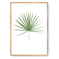 Dekoria Plakát Tropical Leaf Green, 40 x 50 cm, Vybrat rám: Zlatý