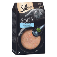 Sheba Classic Soup kapsičky 40 x 40 g výhodné balení - Bílá ryba