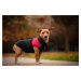 Vsepropejska Slim-rainy obleček pro psa na zip Barva: Černo-růžová, Délka zad (cm): 53, Obvod hr