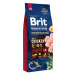 Brit Premium by Nature Senior L+XL 15kg