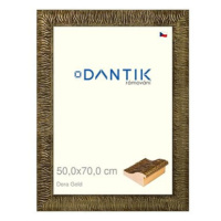 DANTIK rámeček 50 × 70, Dora Gold plexi čiré