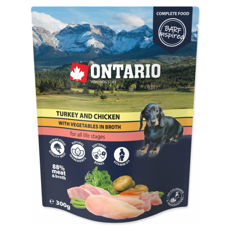 Kapsička Ontario krůta a kuře se zeleninou ve vývaru 300g