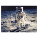 Fotografie 35th Anniversary Of Apollo 11 Landing On The Moon, NASA, 40 × 30 cm