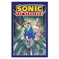 Ježek Sonic 4: Nákaza - Ian Flynn - kniha z kategorie Komiksy