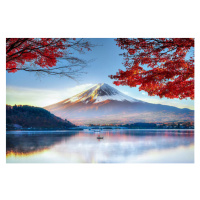 Fotografie Fuji Mountain in Autumn, DoctorEgg, 40 × 26.7 cm