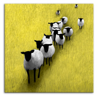 Obraz na plátně SHEEP A různé rozměry Ludesign ludesign obrazy: 80x80 cm