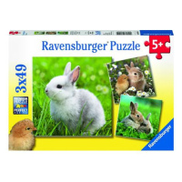 Ravensburger puzzle Roztomilý králíček; 3x49 dílků