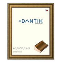 DANTIK rámeček 40 × 50, METAL AU prohlý velký sklo čiré