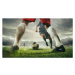 Fotografie Close up legs of football or, anton5146, 40x22.5 cm