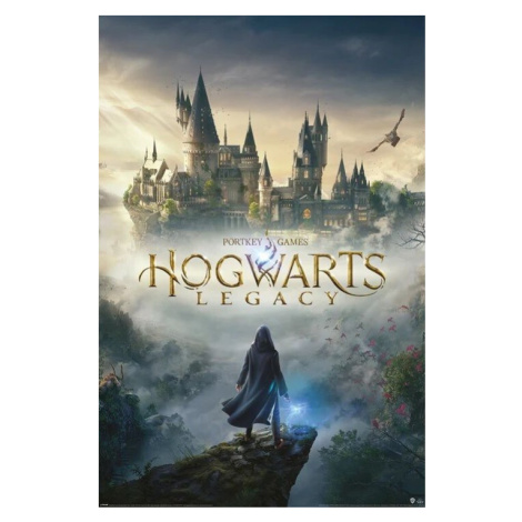 Plakát, Obraz - Harry Potter - Hogwarts Legacy, 61x91.5 cm Pyramid