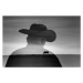 Ilustrace Silhouette of cowboy and scenic view, Grant Faint, 40 × 26.7 cm