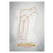 Umělecký tisk Monza Circuit - Track Evolution - The Temple of Speed, Automobilist, 50 × 70 cm