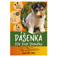 Dášenka čiže život šteniatka