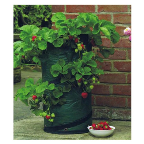 Pytel na pěstování STREND PRO 2172594