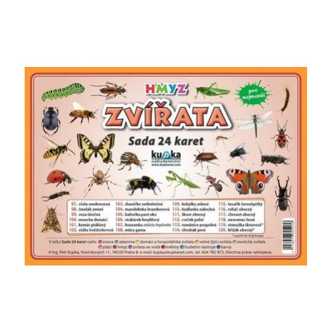 Zvířata hmyz - Sada 24 karet - Petr Kupka