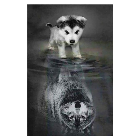 Figured ART Diamantové malování - PES A VLK V ODRAZU na rámu 40 x 50 cm