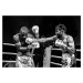 Umělecká fotografie Boxing, Reza Mohammadi, (40 x 26.7 cm)
