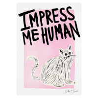 Ilustrace Cat Owner - Impress Me Human, Baroo Bloom, 30 × 40 cm