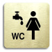 Accept Piktogram "umývárna, WC ženy" (80 × 80 mm) (zlatá tabulka - černý tisk bez rámečku)