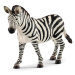 Schleich Zebra