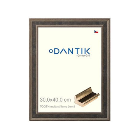 DANTIK rámeček 30 × 40, TOOTH malý stříbrno černý plexi čiré