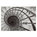 Dekoria Obraz na plátně Spiral Stairs, 50 x 35 cm