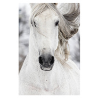 Fotografie Children of the wind, Somogyvari, 26.7 × 40 cm