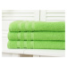 B.E.S. - Petrovice, s.r.o. Bavlněný froté ručník Standard - Green Rozměr: 50 x 100