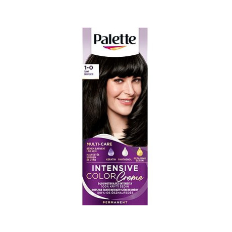 SCHWARZKOPF PALETTE Intensive Color Creme 1-0 Černá 50 ml