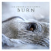 Gerrard Lisa: Burn - CD