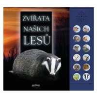 Zvířata našich lesů | Andrea Pinnington