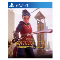 Harry Potter: Quidditch Champions (PS4)