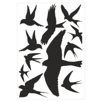Silueta dravce proti narážení ptáků - samolepící fólie - 11 dravců na archu 30 x 40 cm Dravci - 