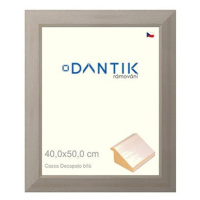 DANTIK rámeček 40 × 50, Caa Decapato bílý sklo čiré