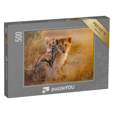 puzzle 500 dílků „Hra na lvíčata, Afrika“