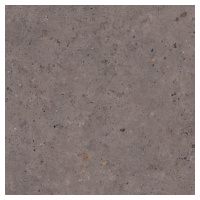 Dlažba Pastorelli Biophilic dark grey 80x80 cm mat P009420