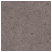 Dlažba Pastorelli Biophilic dark grey 80x80 cm mat P009420