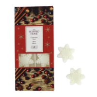 ASHLEIGH & BURWOOD The scented home - Christmas Spice