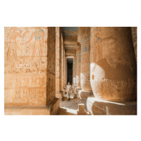 Fotografie Woman walking in the ancient Egyptian, Oleh_Slobodeniuk, 40 × 26.7 cm