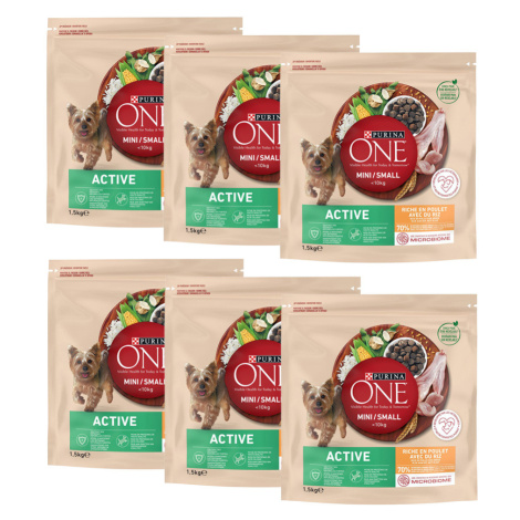 PURINA ONE Mini Active Chicken & Rice - 9 kg (6 x 1,5 kg)