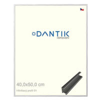 DANTIK rámeček 40 × 50, ALU profil 7001 Stříbrný lesklý sklo čiré