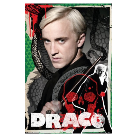 Plakát, Obraz - Harry Potter - Draco, (61 x 91.5 cm) GB Eye