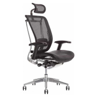 Office Pro Kancelářská židle LACERTA - IW-01, černá